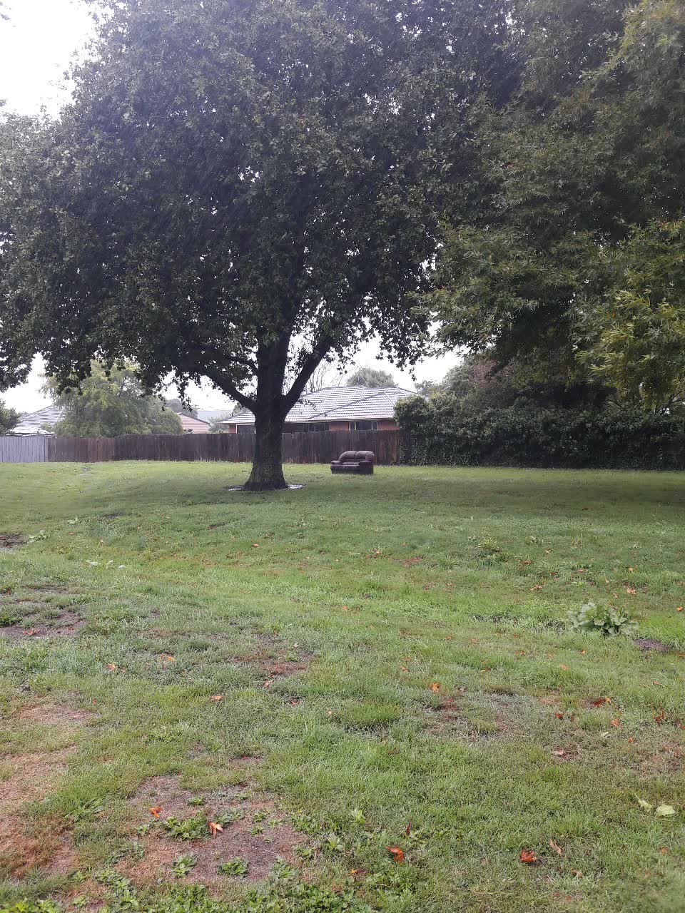 The photograph attached to this parks report