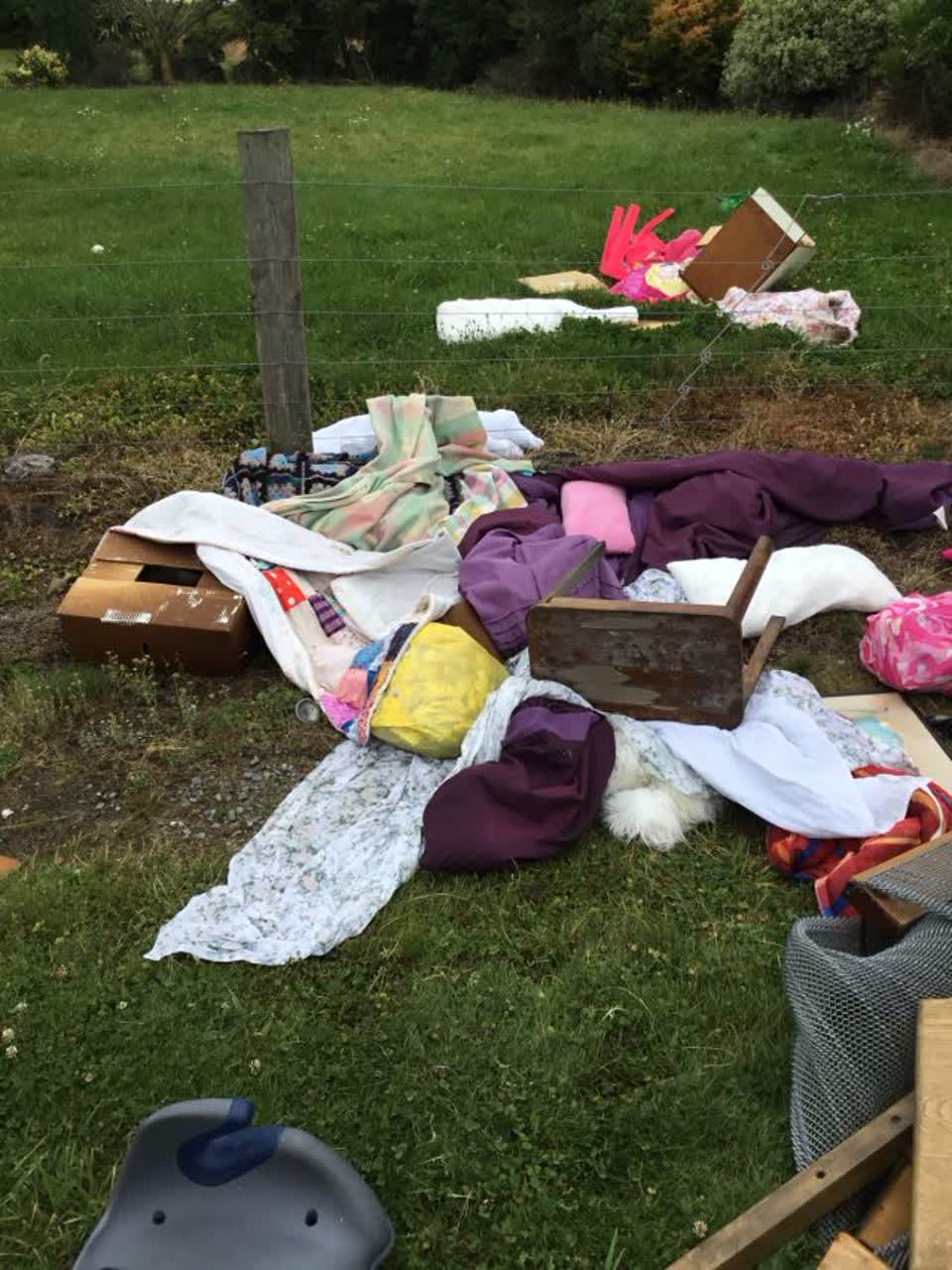 The photograph attached to this rubbish/recycling report