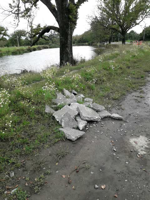 Rubbish/Recycling — a report photo