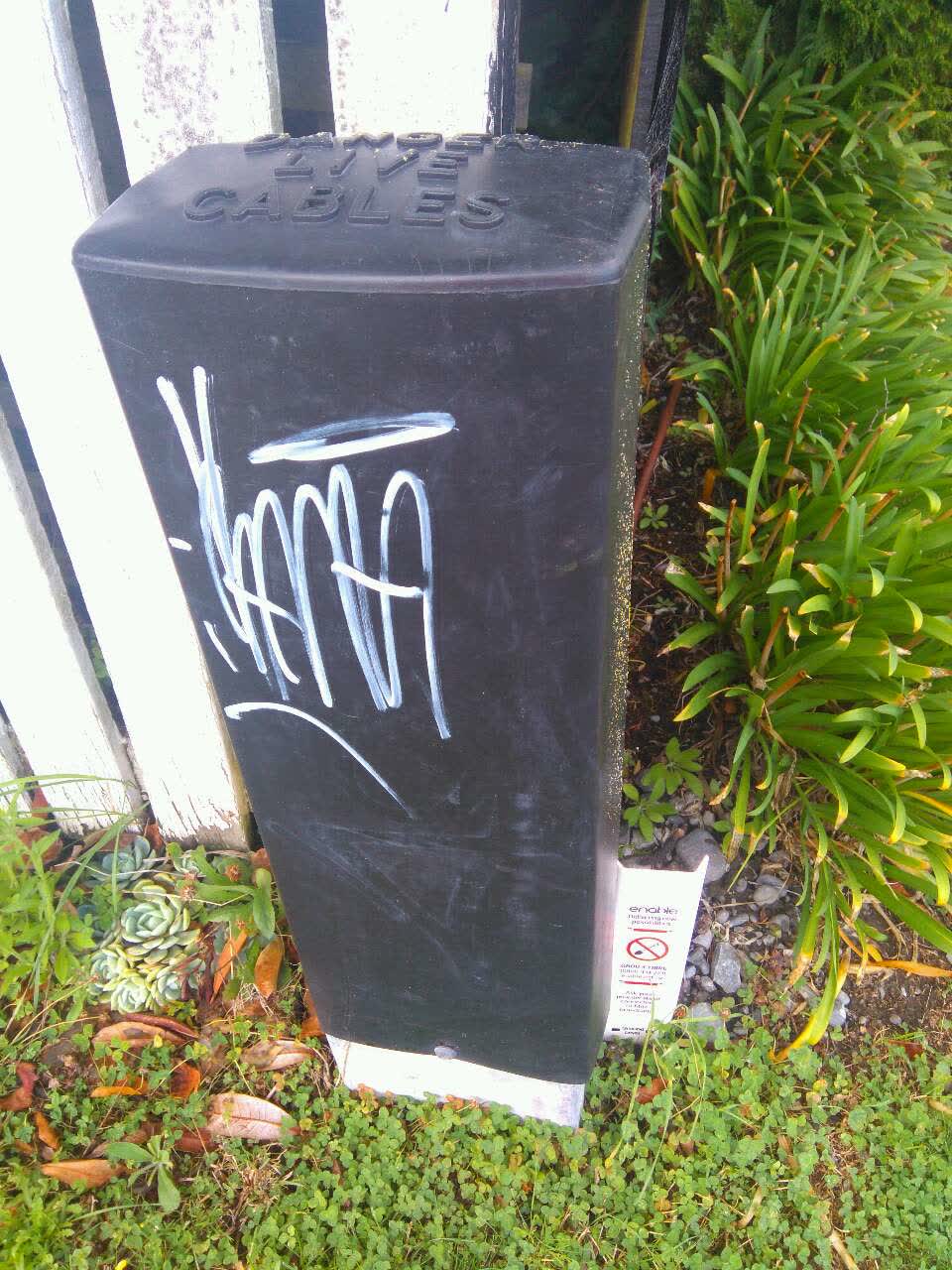 The photograph attached to this graffiti report