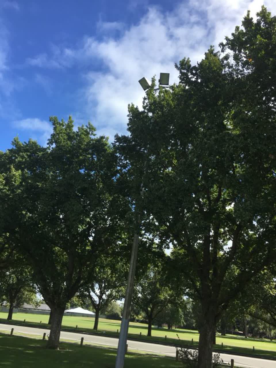 The photograph attached to this parks report