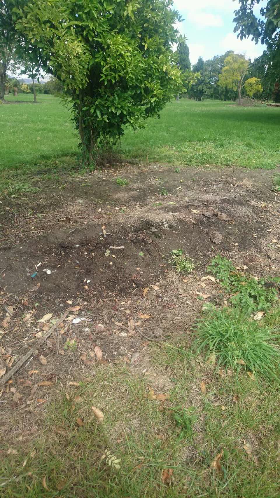 The photograph attached to this parks report