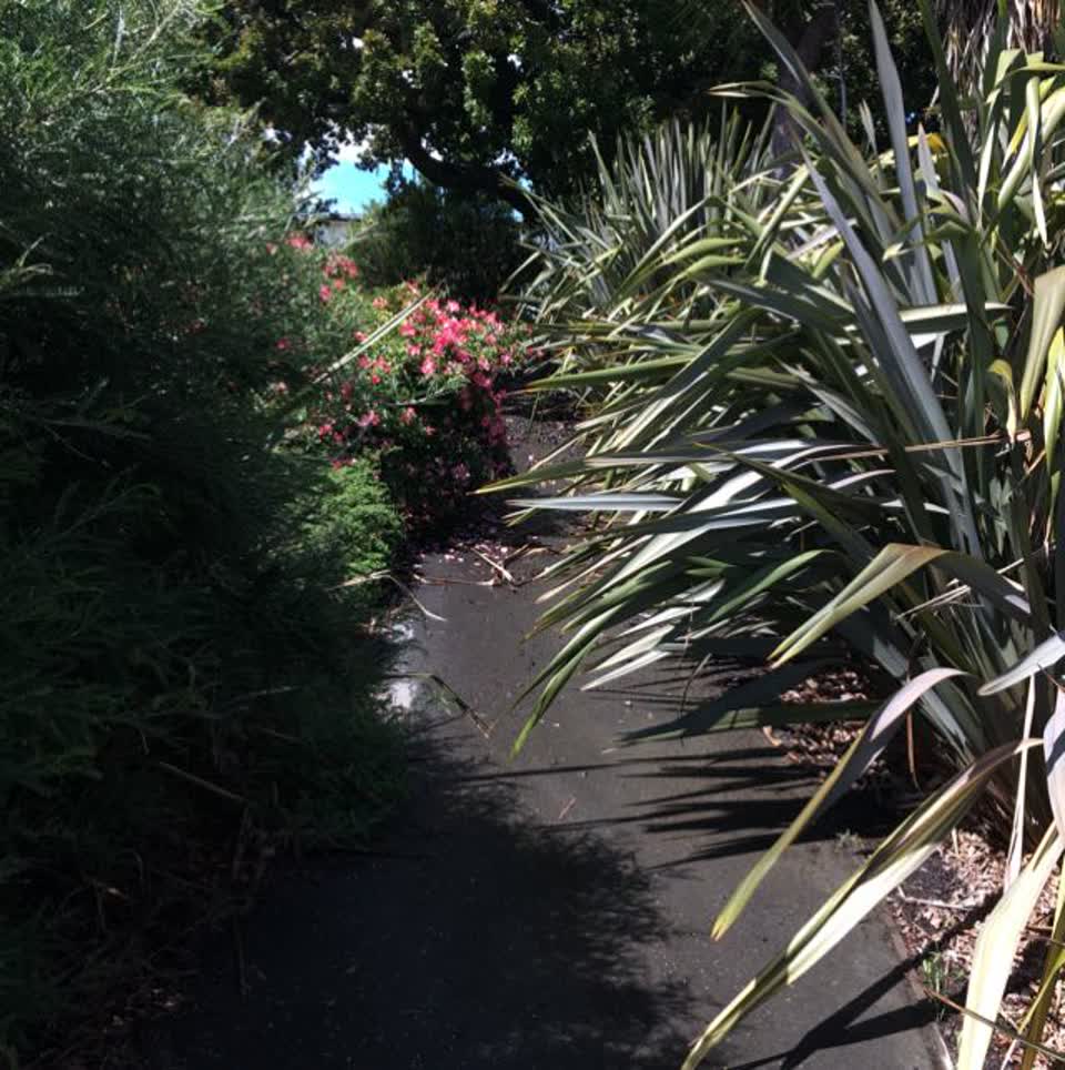 The photograph attached to this parks report