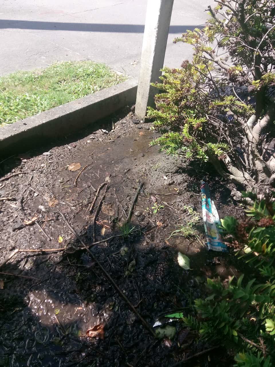 The photograph attached to this wastewater/stormwater report
