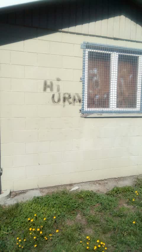 Graffiti, a report photo