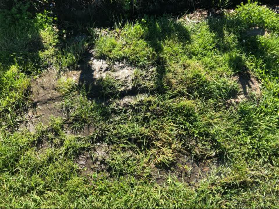 The photograph attached to this wastewater/stormwater report