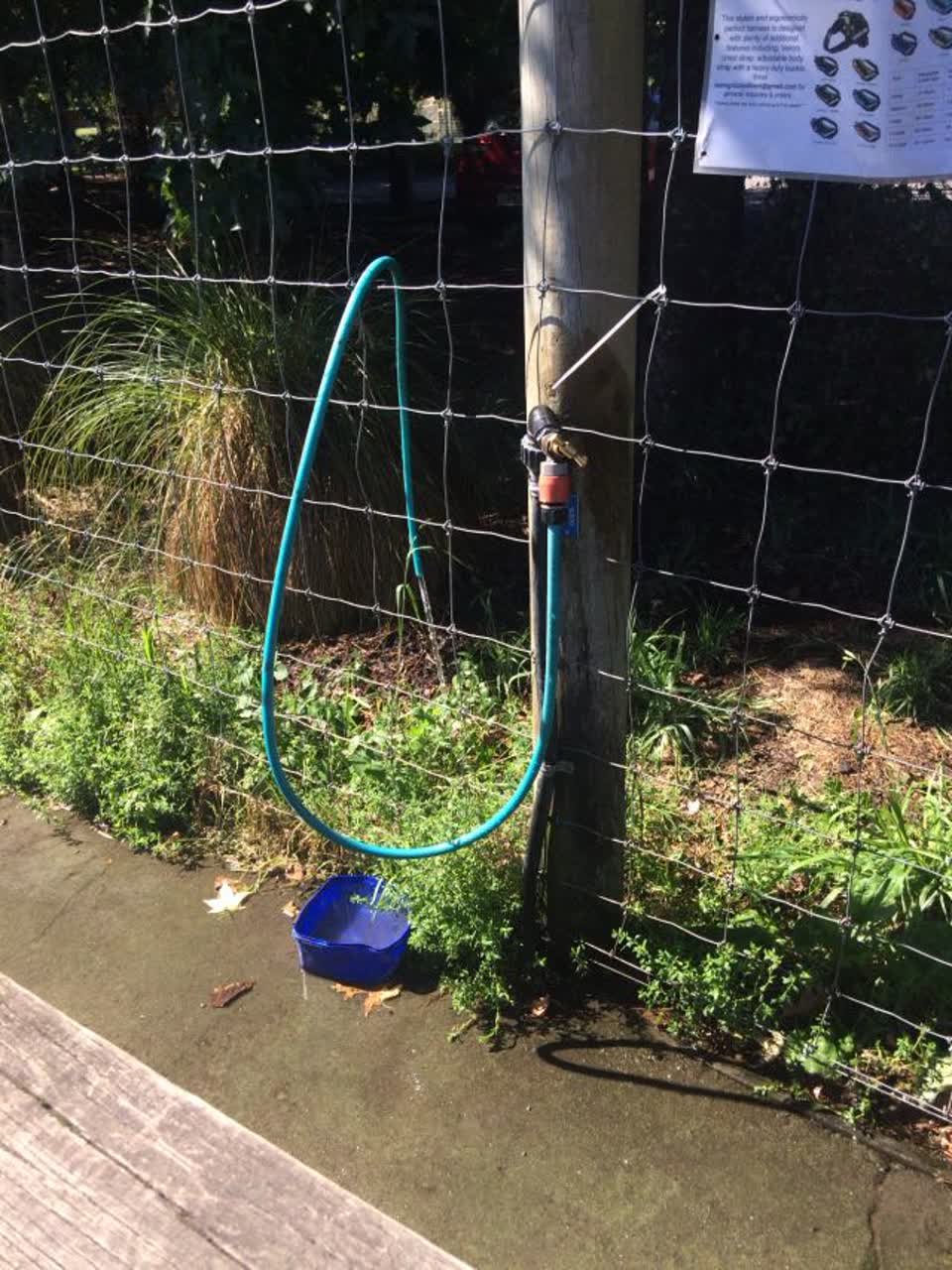The photograph attached to this water supply report