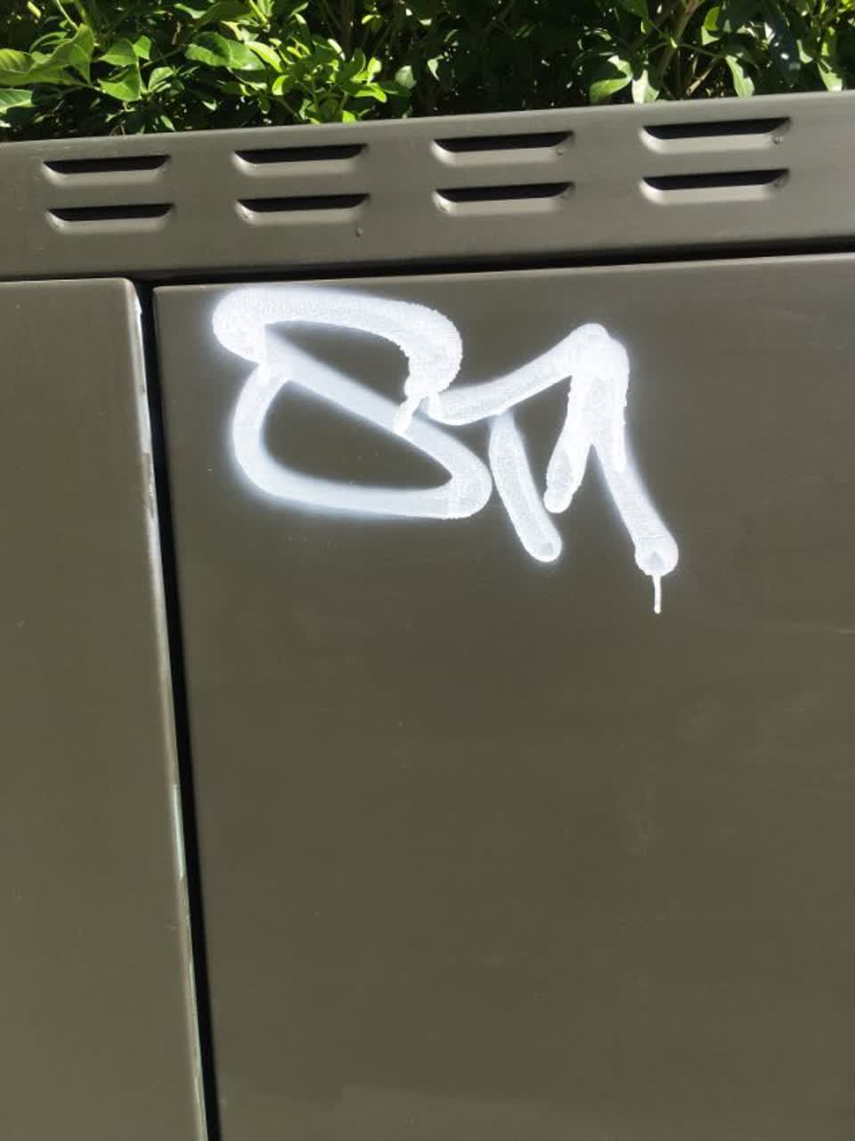The photograph attached to this graffiti report