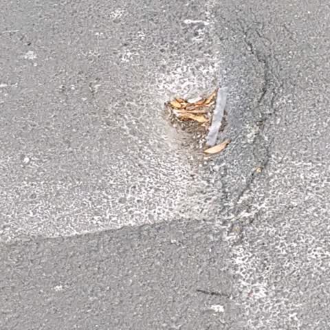 Roading/Streets, a report photo