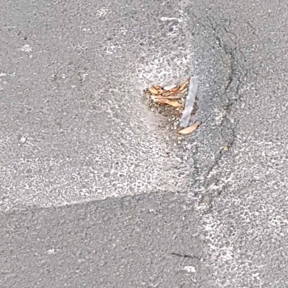 The photograph attached to this roading/streets report
