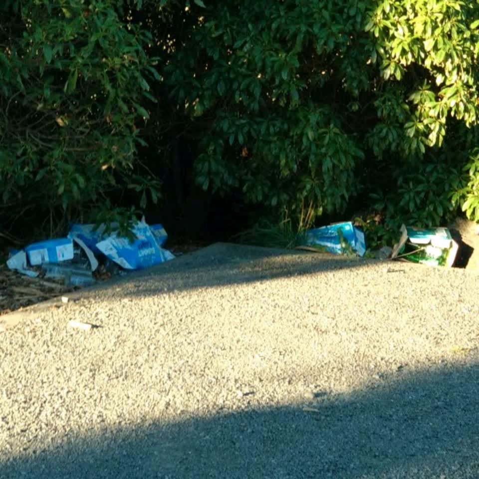 The photograph attached to this rubbish/recycling report
