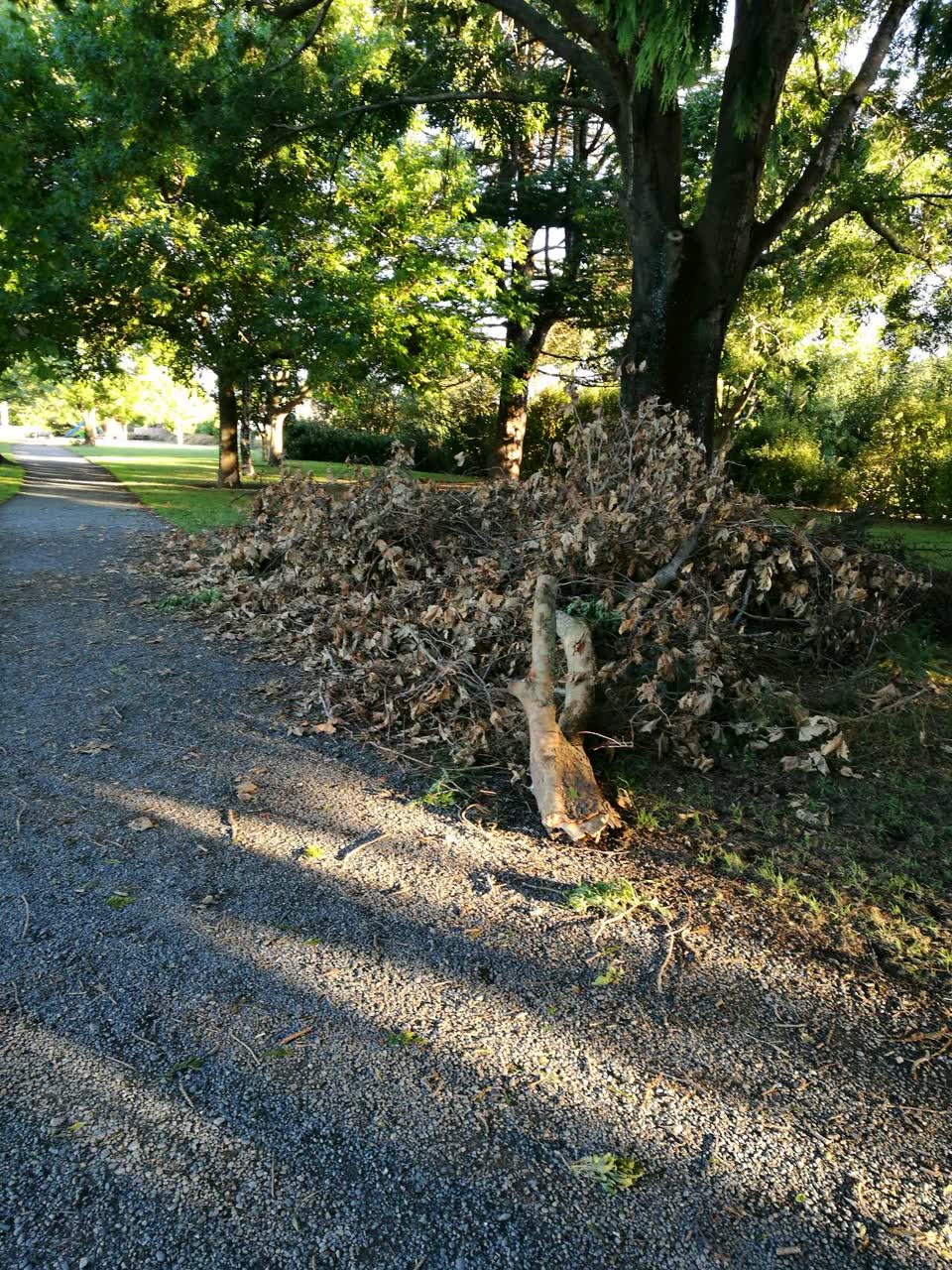 The photograph attached to this parks report