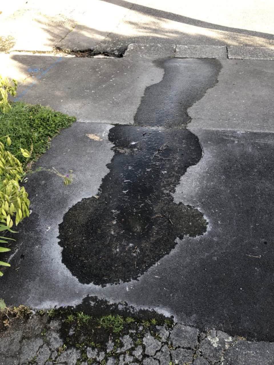 The photograph attached to this water supply report