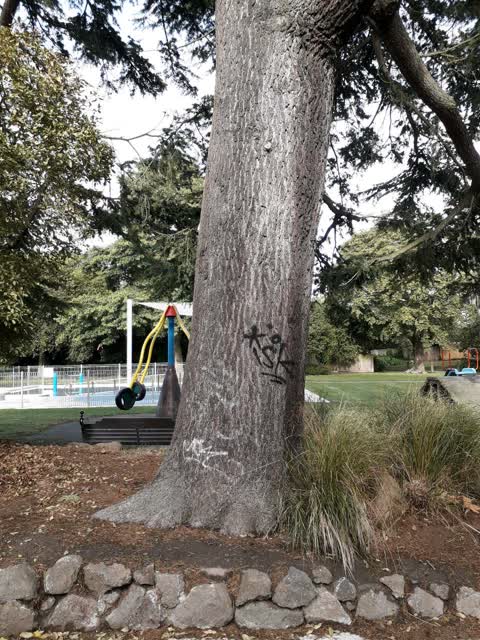 Graffiti — a report photo