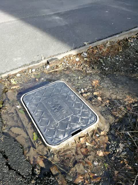 Water Supply, a report photo