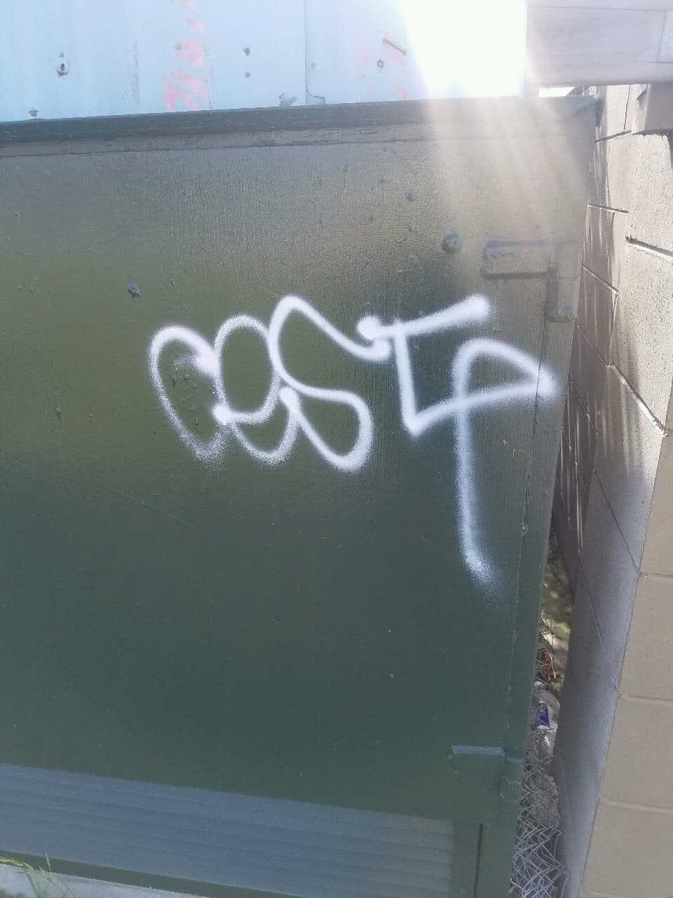 The photograph attached to this graffiti report