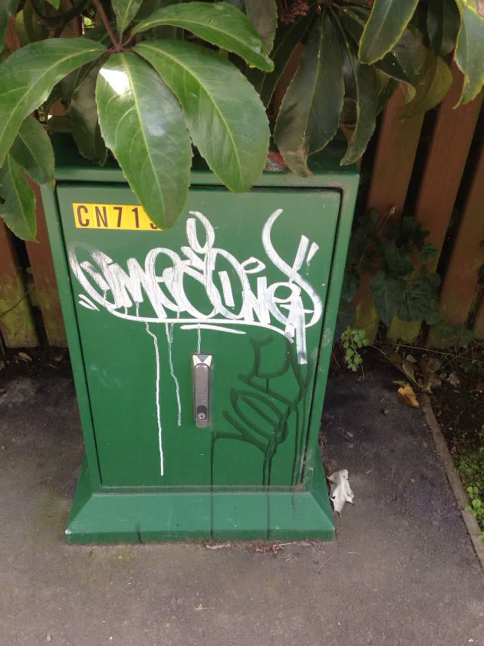 The photograph attached to this graffiti report