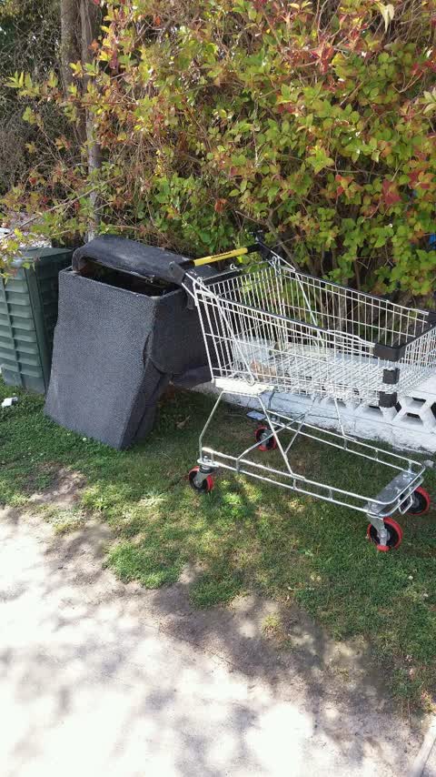 Rubbish/Recycling, a report photo