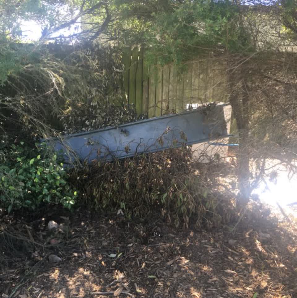 The photograph attached to this parks report