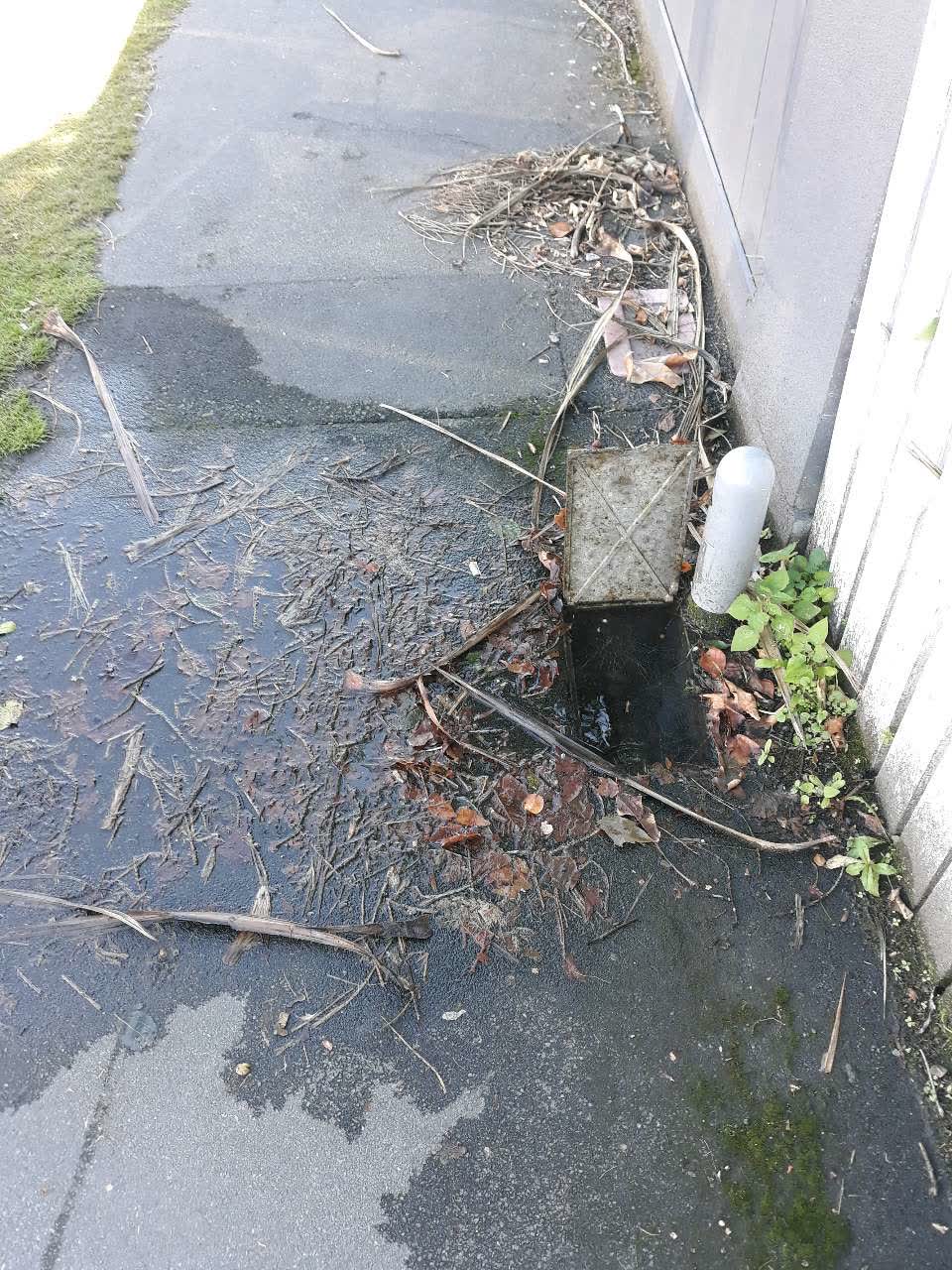 The photograph attached to this water supply report