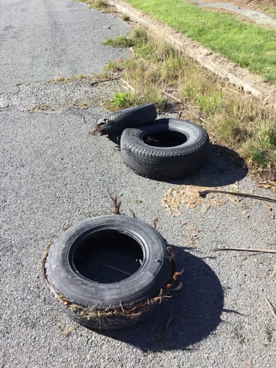 The photograph attached to this rubbish/recycling report