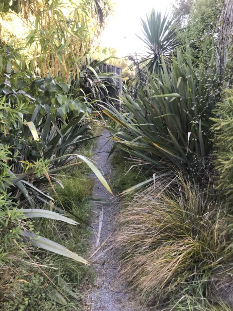 The photograph attached to this parks report