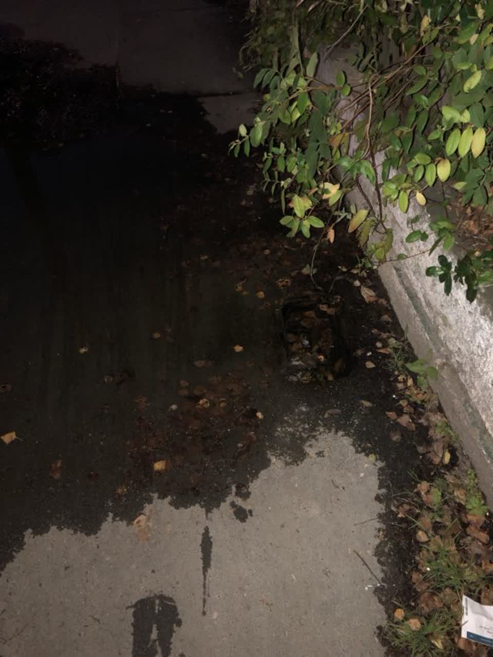 The photograph attached to this water supply report