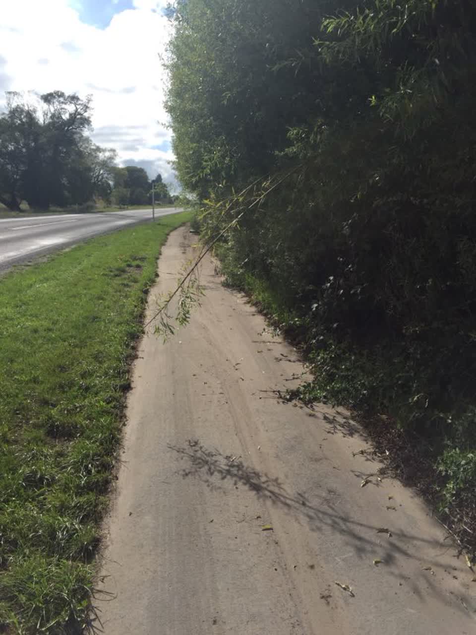 The photograph attached to this roading/streets report