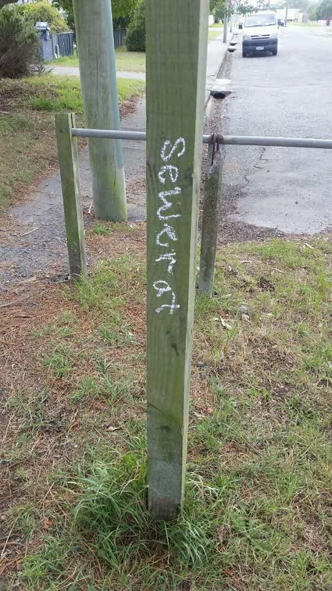 Graffiti — a report photo