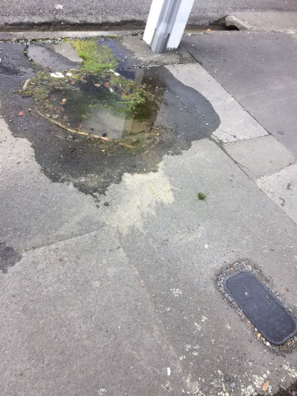 The photograph attached to this flooding report