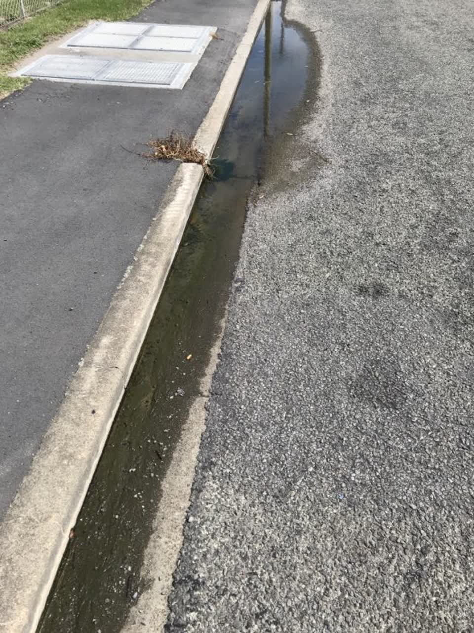 The photograph attached to this water supply report