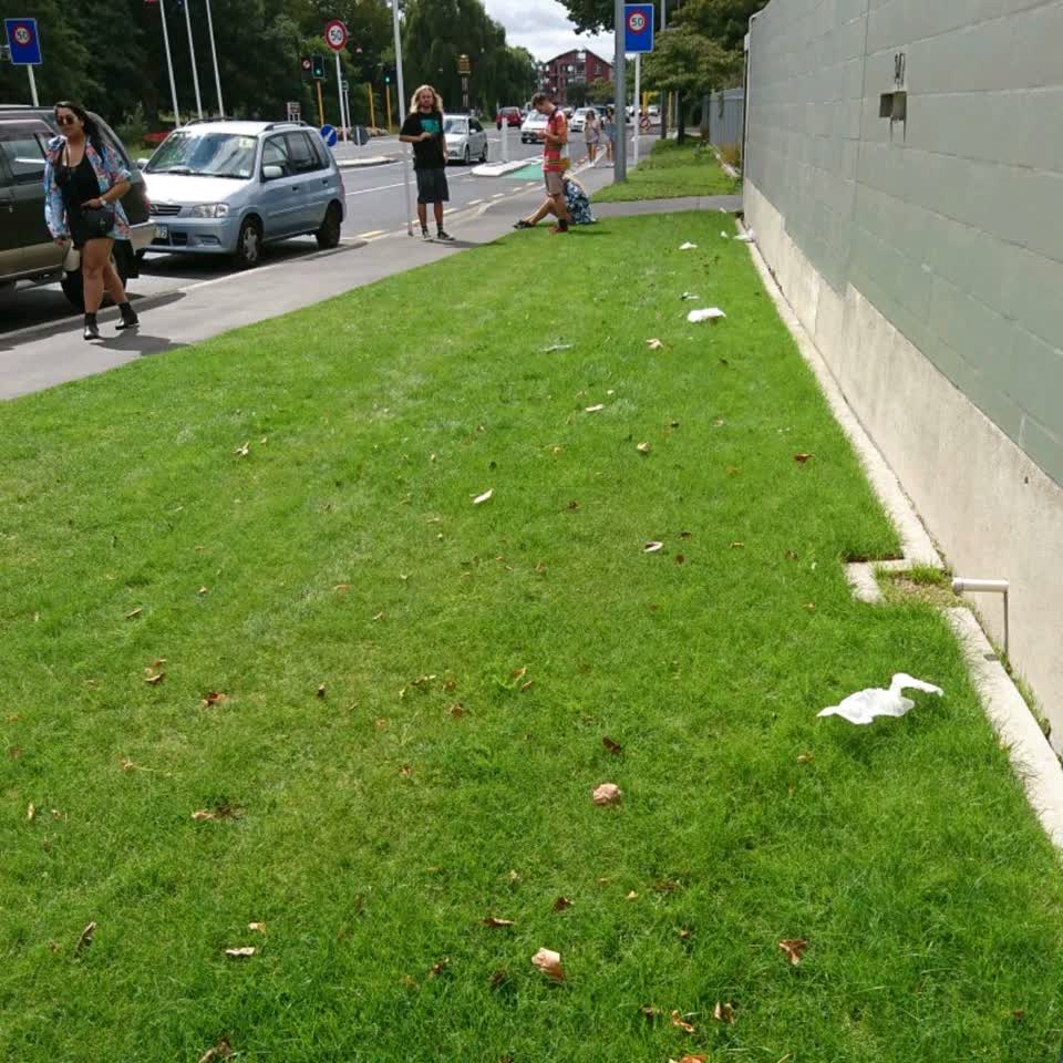 The photograph attached to this parks report