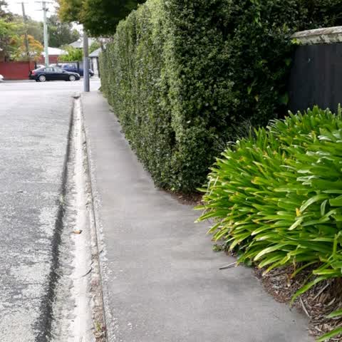 Roading/Streets, a report photo