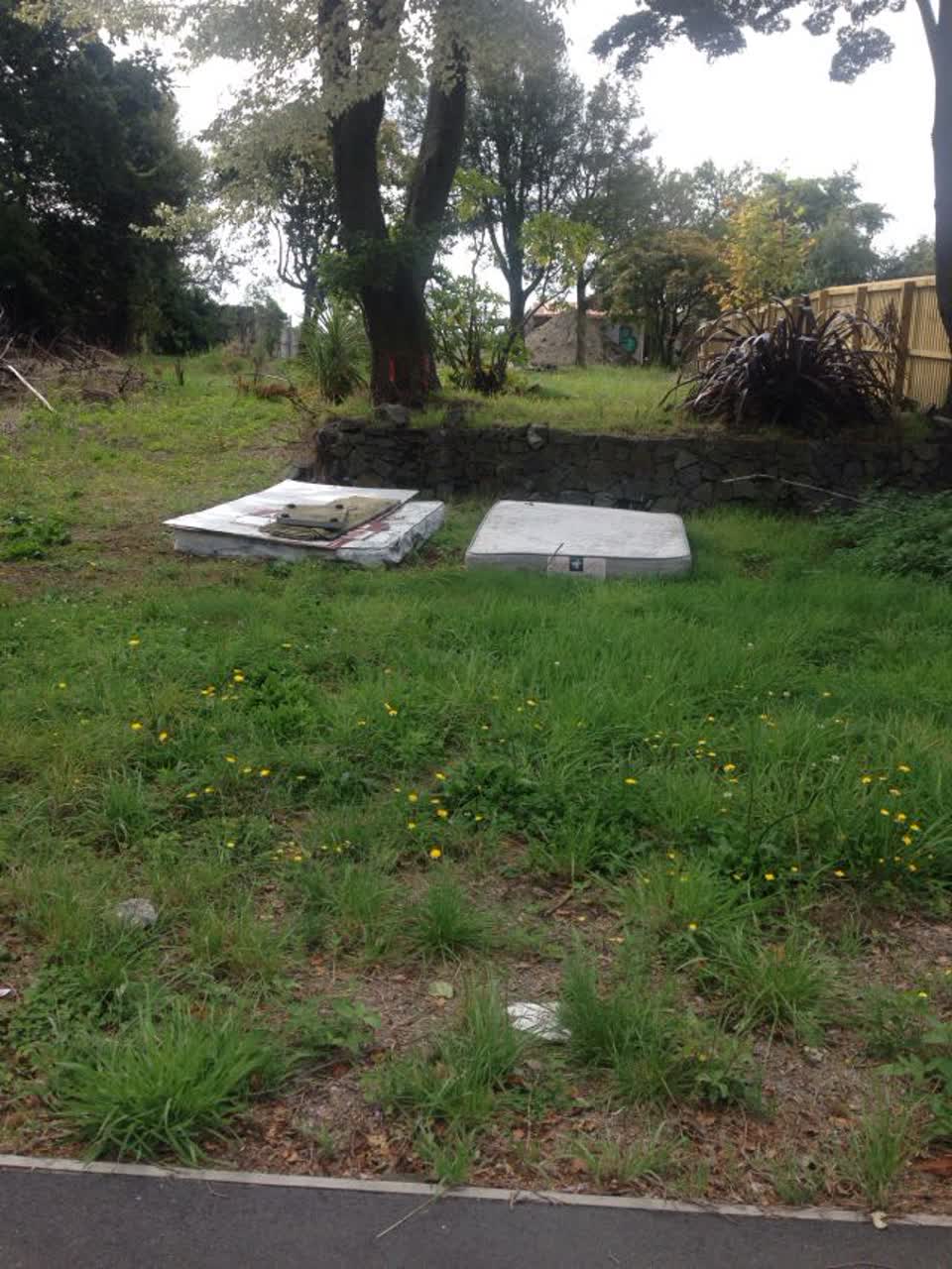 The photograph attached to this rubbish/recycling report