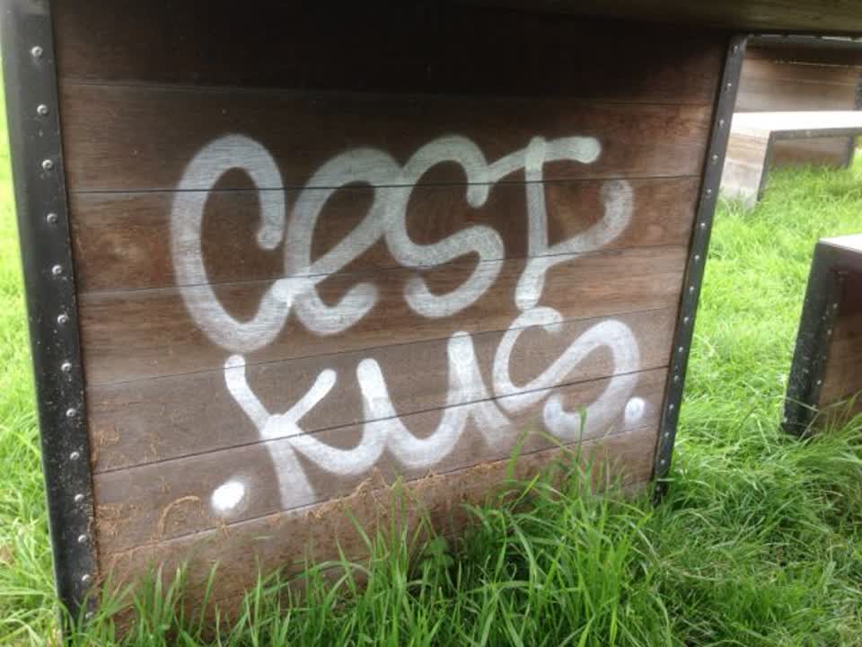 The photograph attached to this graffiti report