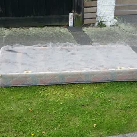 Rubbish/Recycling, a report photo