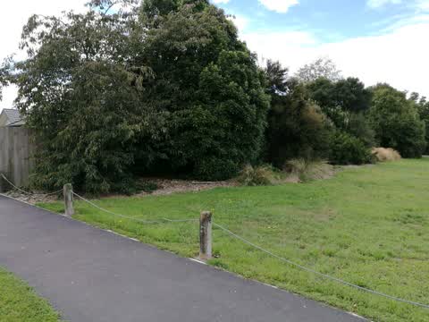 Parks — a report photo