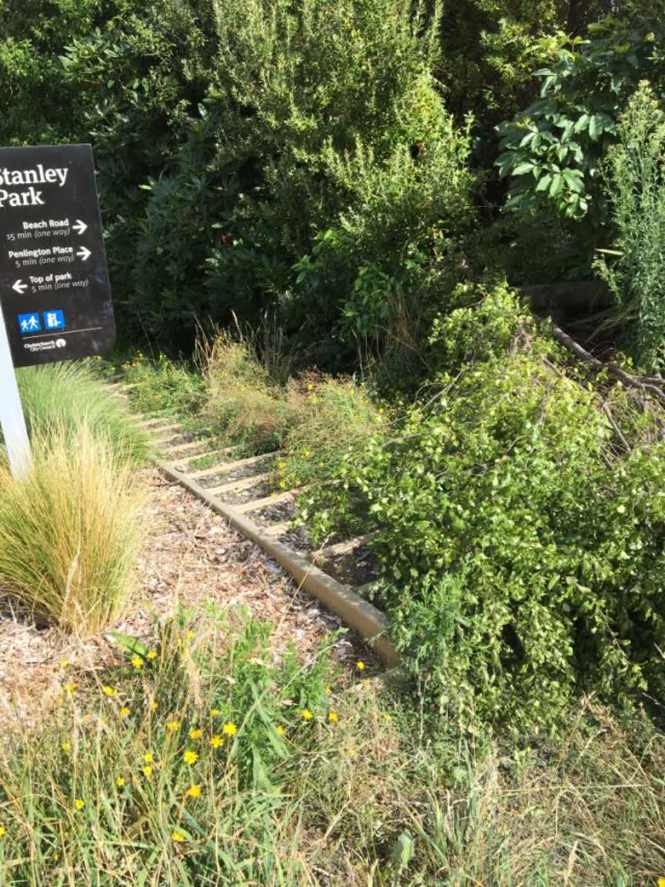 The photograph attached to this parks report