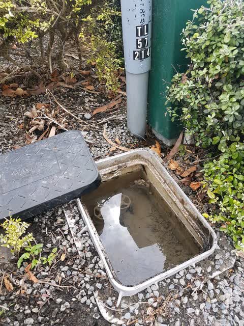 Water Supply, a report photo