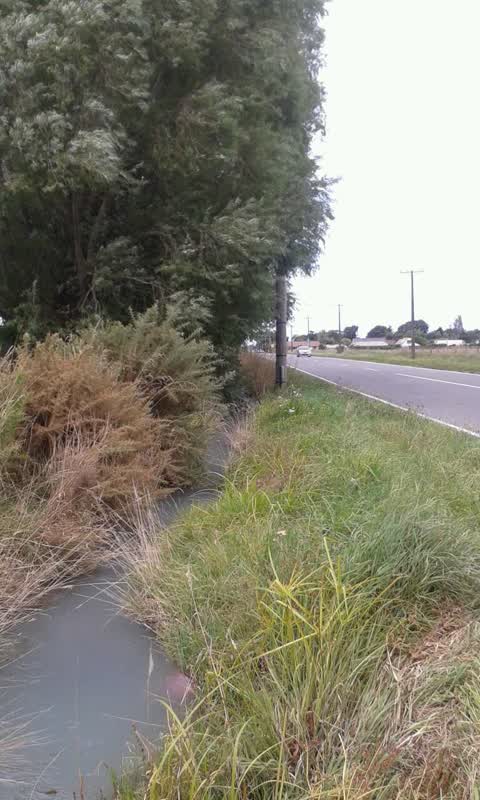 Roading/Streets, a report photo