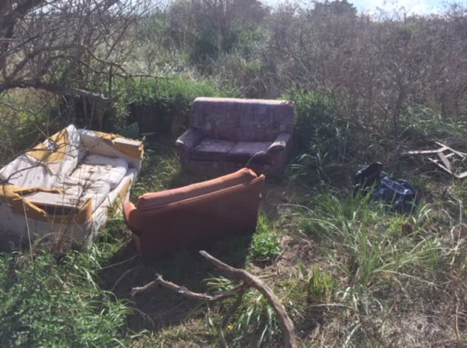 The photograph attached to this parks report