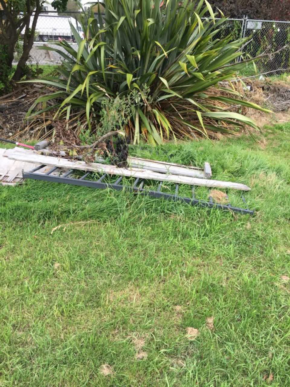 The photograph attached to this parks report