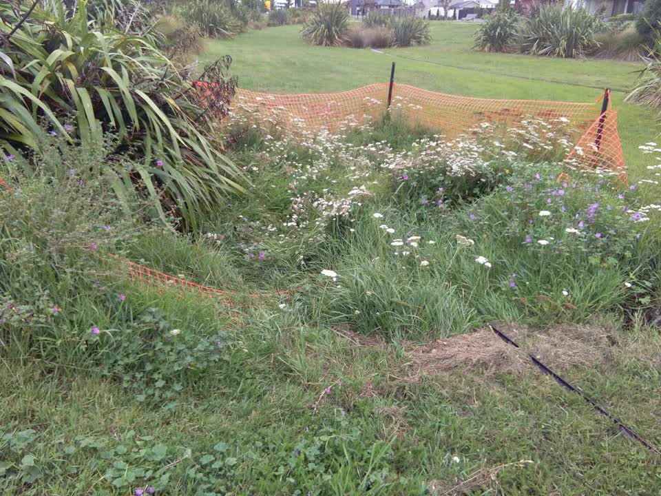 The photograph attached to this wastewater/stormwater report