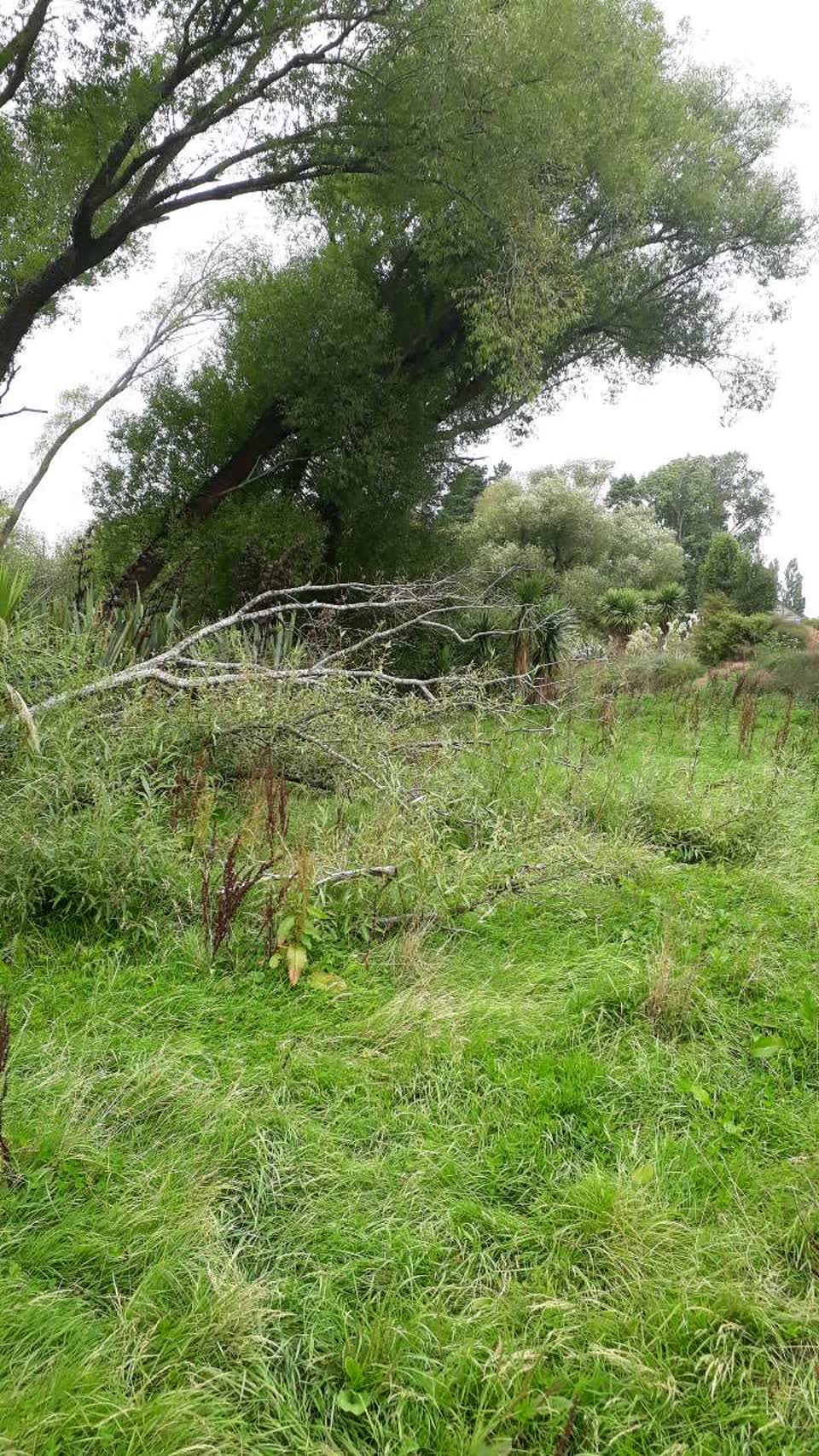 The photograph attached to this parks report