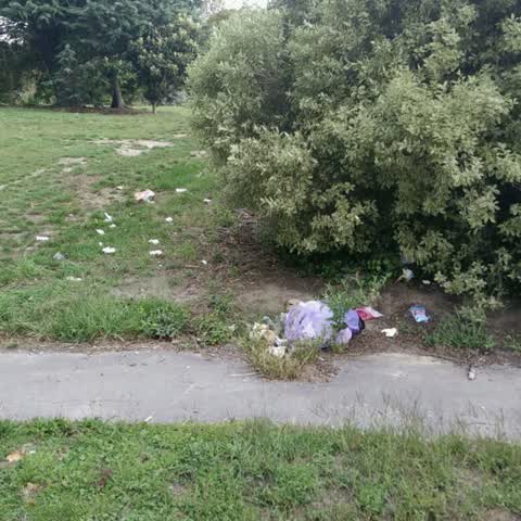 Rubbish/Recycling, a report photo
