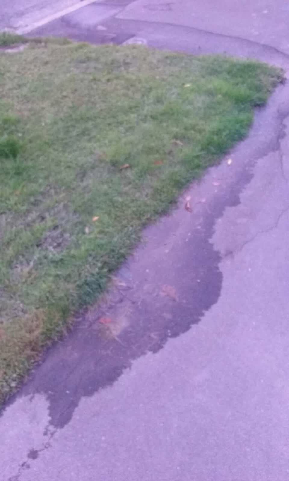 The photograph attached to this water supply report