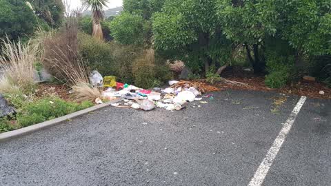Parks — a report photo