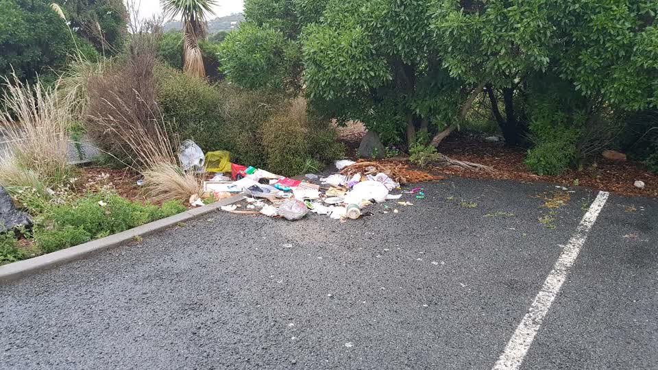 The photograph attached to this parks report