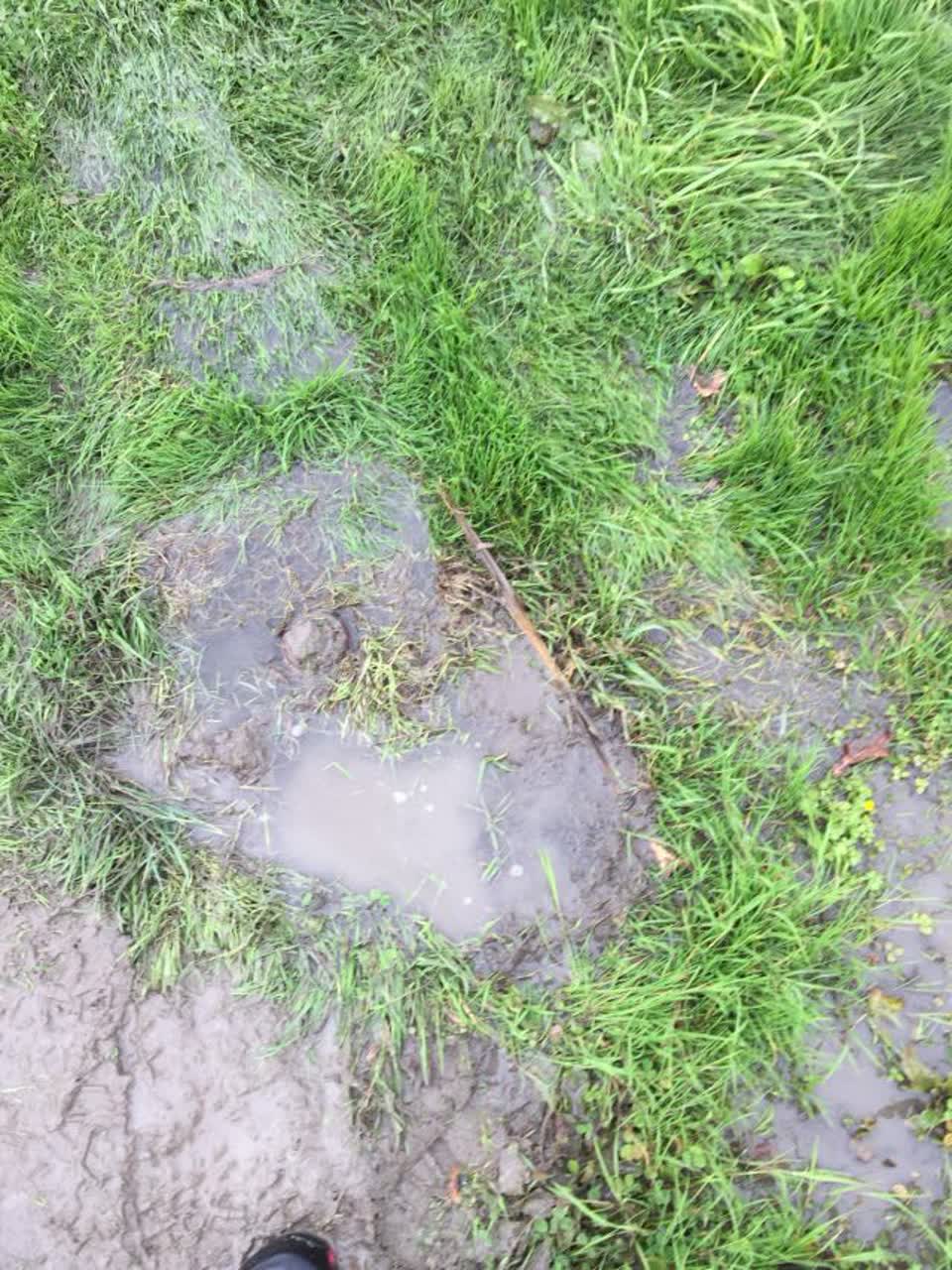 The photograph attached to this parks report