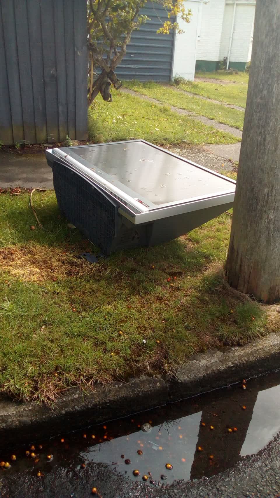 The photograph attached to this rubbish/recycling report